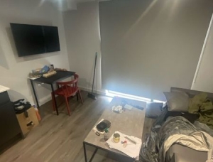 1655585604 Apt 67 Element 008
